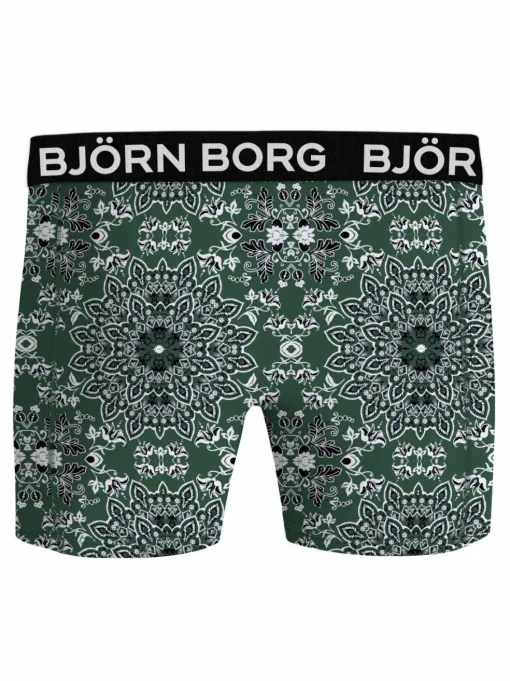 Bjorn Borg Bamboo Cotton Blend boxers, heren boxers normale lengte (2-pack), multicolor
