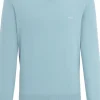 BOSS Pacello regular fit trui katoen, heren trui middeldik V-hals, lichtblauw