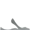 Burlington Carrington heren invisible sokken, grijs (light grey)