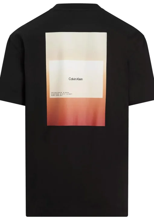 Calvin Klein Overlay Print T-shirt, heren T-shirt korte mouw O-hals, zwart dessin