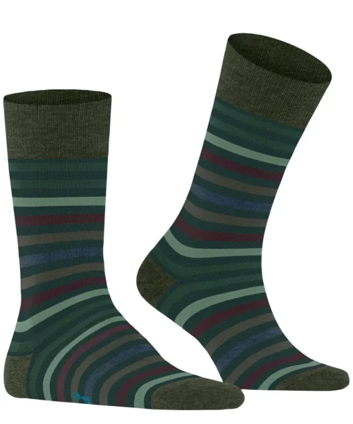 FALKE Tinted Stripe herensokken, groen (wald)