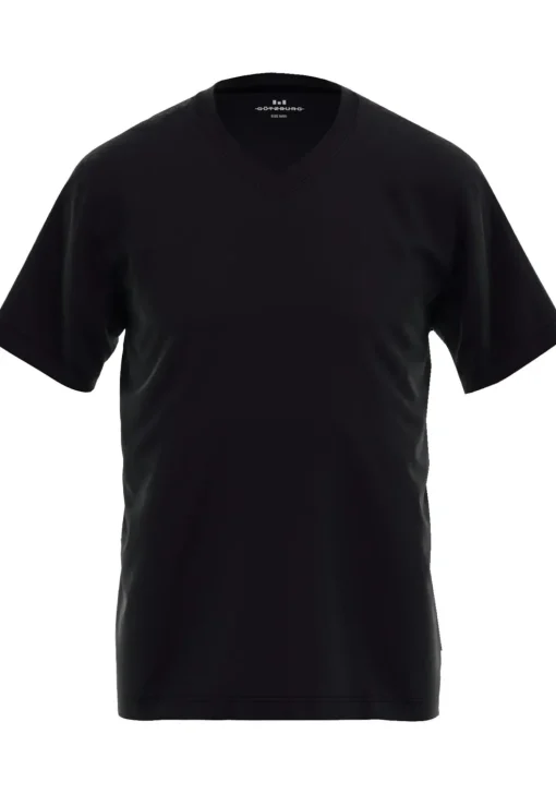 Gotzburg heren T-shirts regular fit V-hals (2-pack), zwart