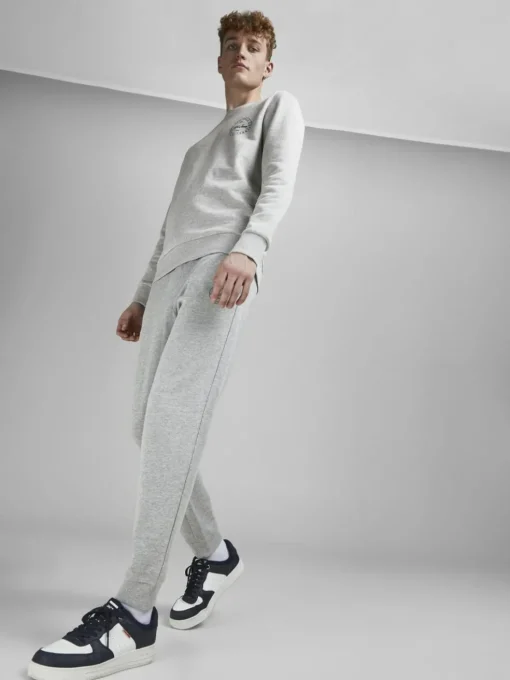 JACK & JONES Gordon Shark Sweat Pants regular fit, heren joggingbroek, lichtgrijs melange