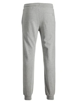 JACK & JONES Gordon Shark Sweat Pants regular fit, heren joggingbroek, lichtgrijs melange