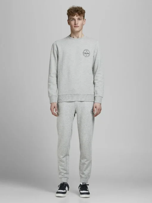 JACK & JONES Gordon Shark Sweat Pants regular fit, heren joggingbroek, lichtgrijs melange