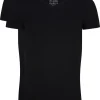 RJ Bodywear Everyday Den Bosch T-shirts (2-pack), heren stretch T-shirts V-hals, zwart