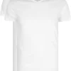 RJ Bodywear Everyday Gouda T-shirts (2-pack), heren T-shirts V-hals smal, wit
